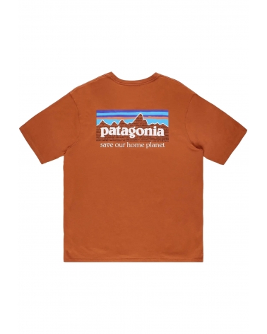 Camiseta Patagonia M'S P-6...