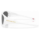 Imagen del producto con referencia 009493-94930230