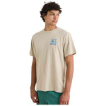 Imagen del producto con referencia 0126MPT01-MOONROCK