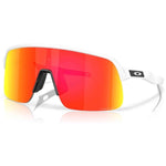 Imagen del producto con referencia 0OO9496-949602