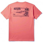 Imagen del producto con referencia 0TYMTE-2367