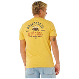 Imagen del producto con referencia 0XZMTE_0014