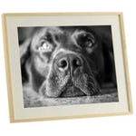 Imagen del producto con referencia 104611