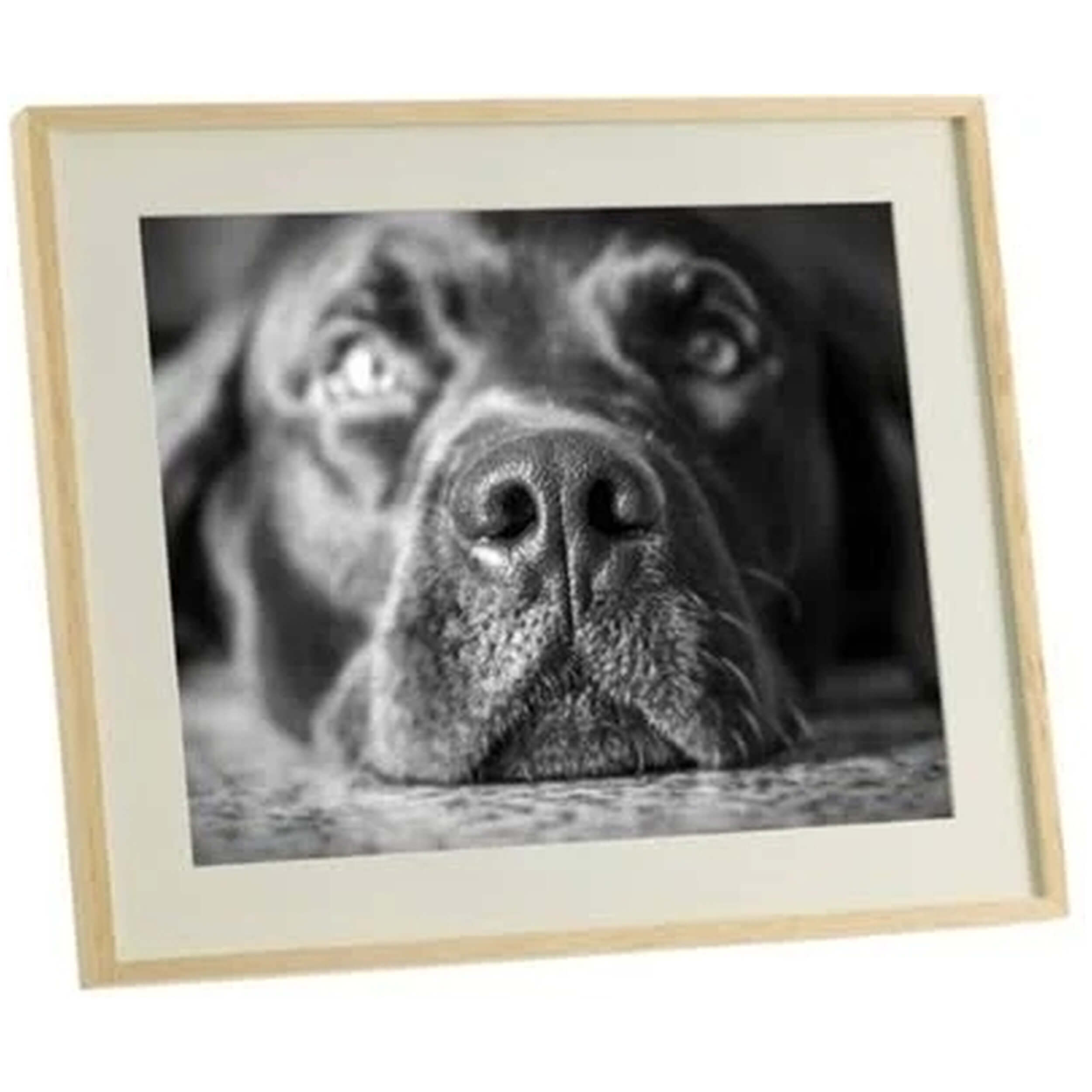 Imagen del producto con referencia 104611