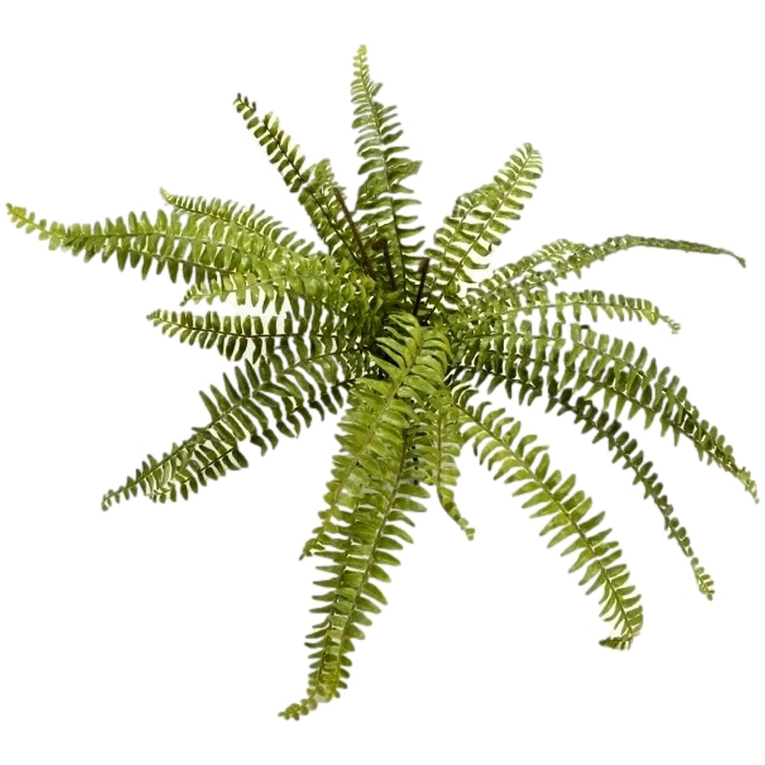 Imagen del producto con referencia 139779