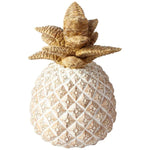 Imagen del producto con referencia 25114