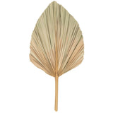 Imagen del producto con referencia 33420