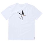 Imagen del producto con referencia 35105.250250-100