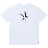 Imagen del producto con referencia 35105.250250-100