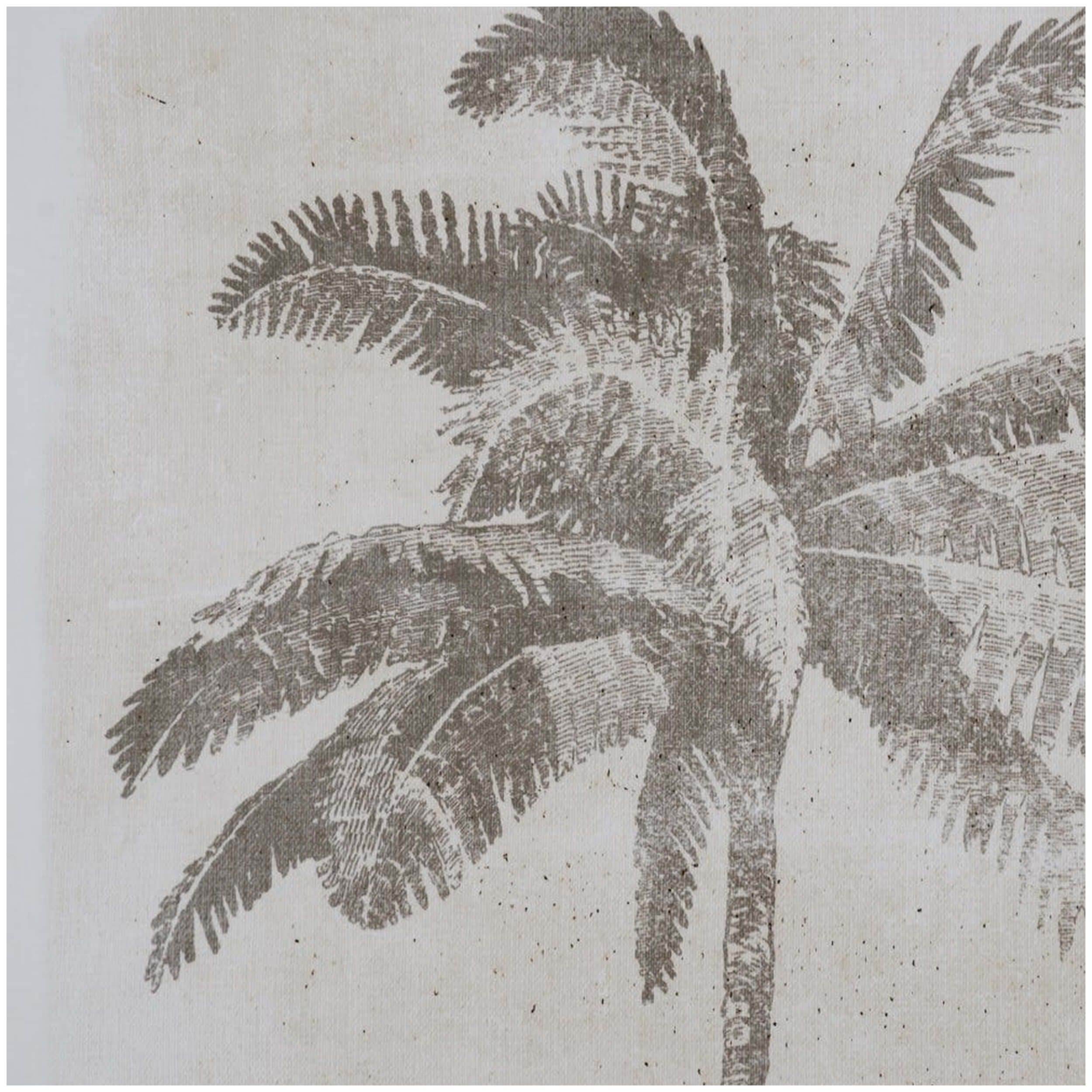 Imagen del producto con referencia 605095