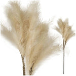 Imagen del producto con referencia 68475