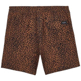 Imagen del producto con referencia A2512613-BRH