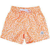 Imagen del producto con referencia BO2-SUNVIB