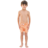 Imagen del producto con referencia BO2-SUNVIB