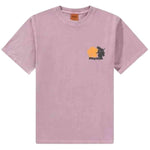 Imagen del producto con referencia CD24MPT06-GRAPE