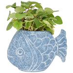 Imagen del producto con referencia D1172