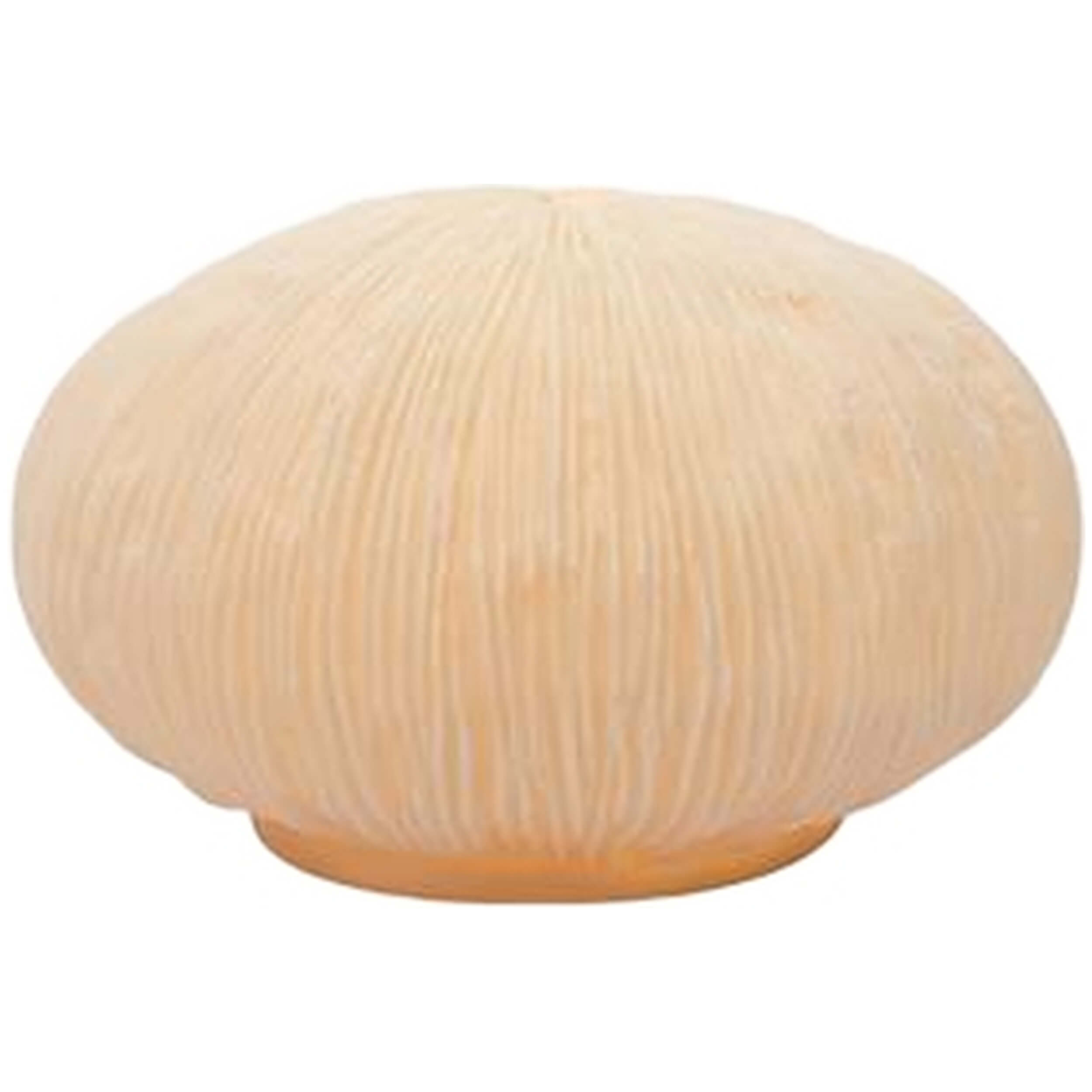 Imagen del producto con referencia D1240