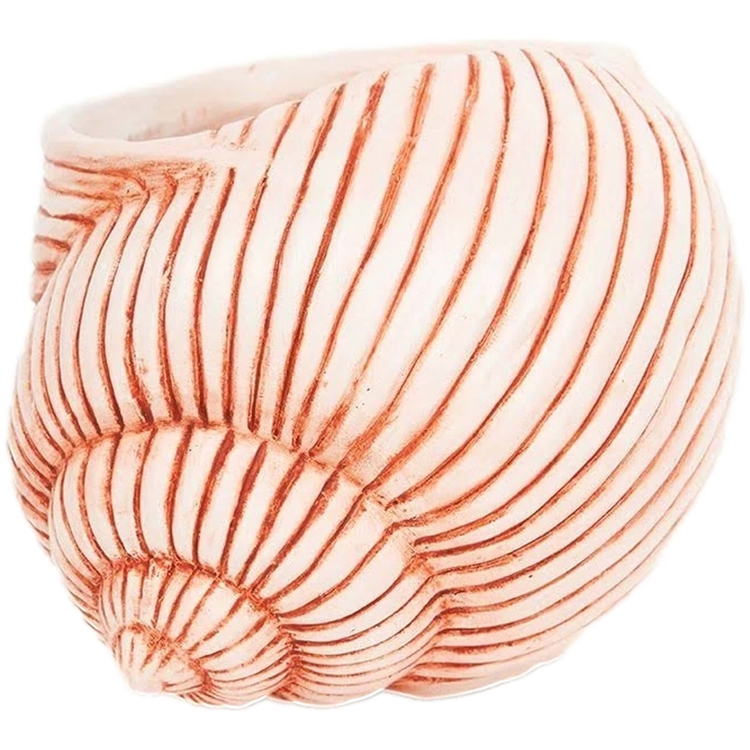 Imagen del producto con referencia D1414