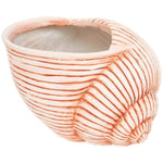 Imagen del producto con referencia D1414