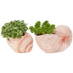 Imagen del producto con referencia D1414