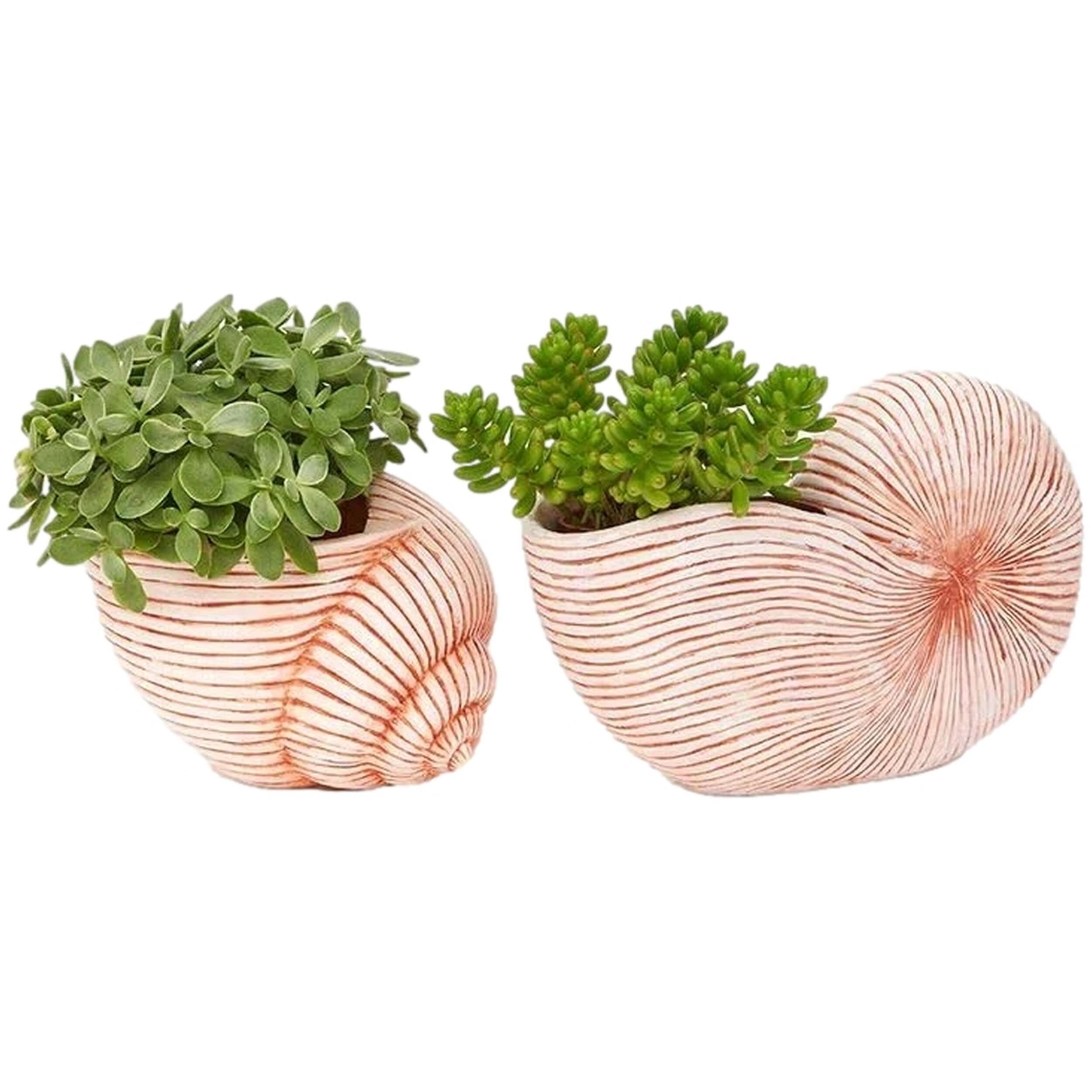 Imagen del producto con referencia D1414