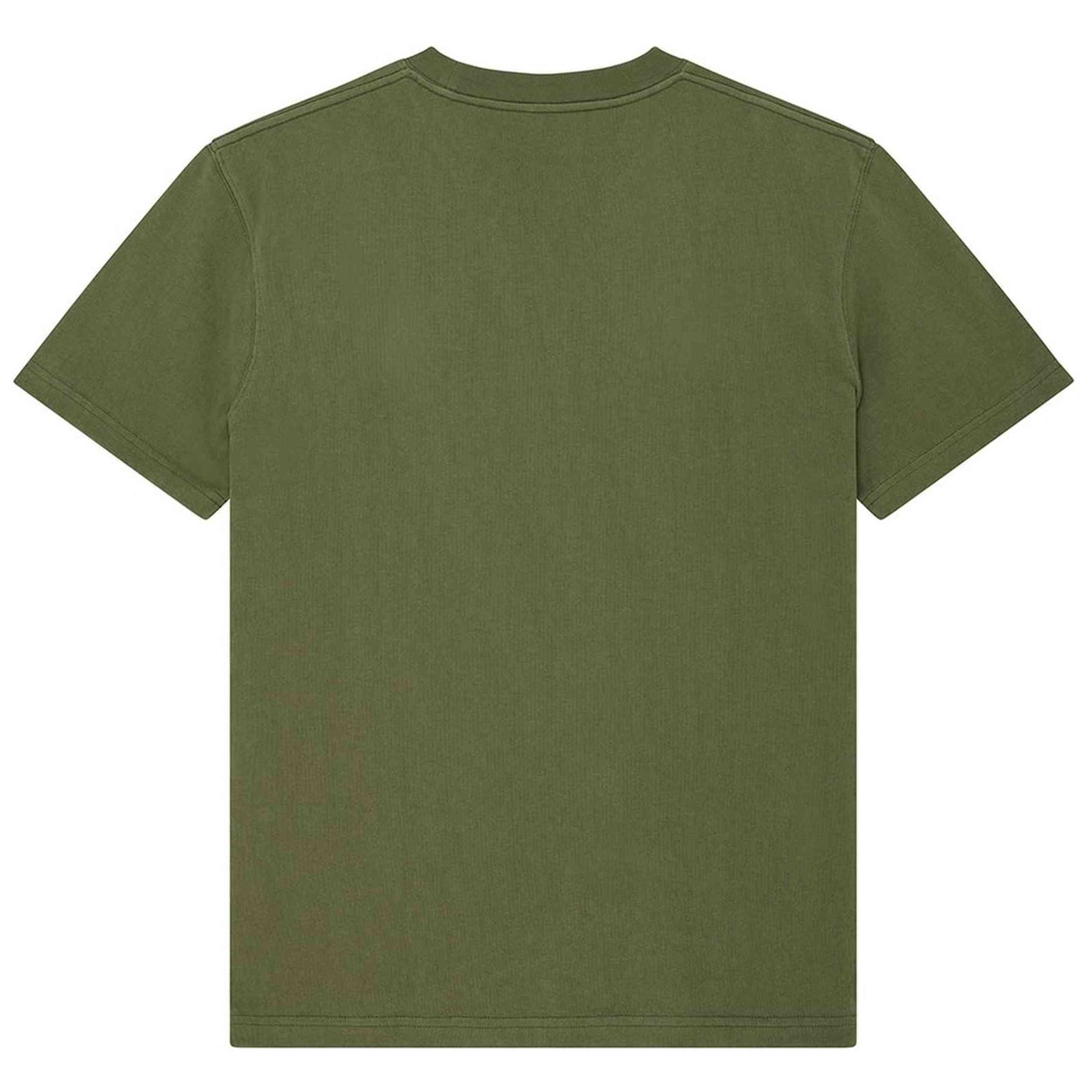 Imagen del producto con referencia D261MTS172-PINE-GREEN