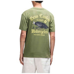 Imagen del producto con referencia D261MTS323-PINE-GREEN