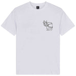 Imagen del producto con referencia D263MTS167-WHITE
