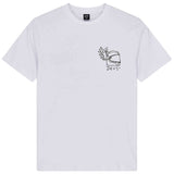 Imagen del producto con referencia D263MTS167-WHITE