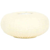 Imagen del producto con referencia D7899