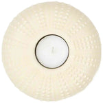 Imagen del producto con referencia D7899