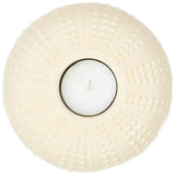 Imagen del producto con referencia D7899