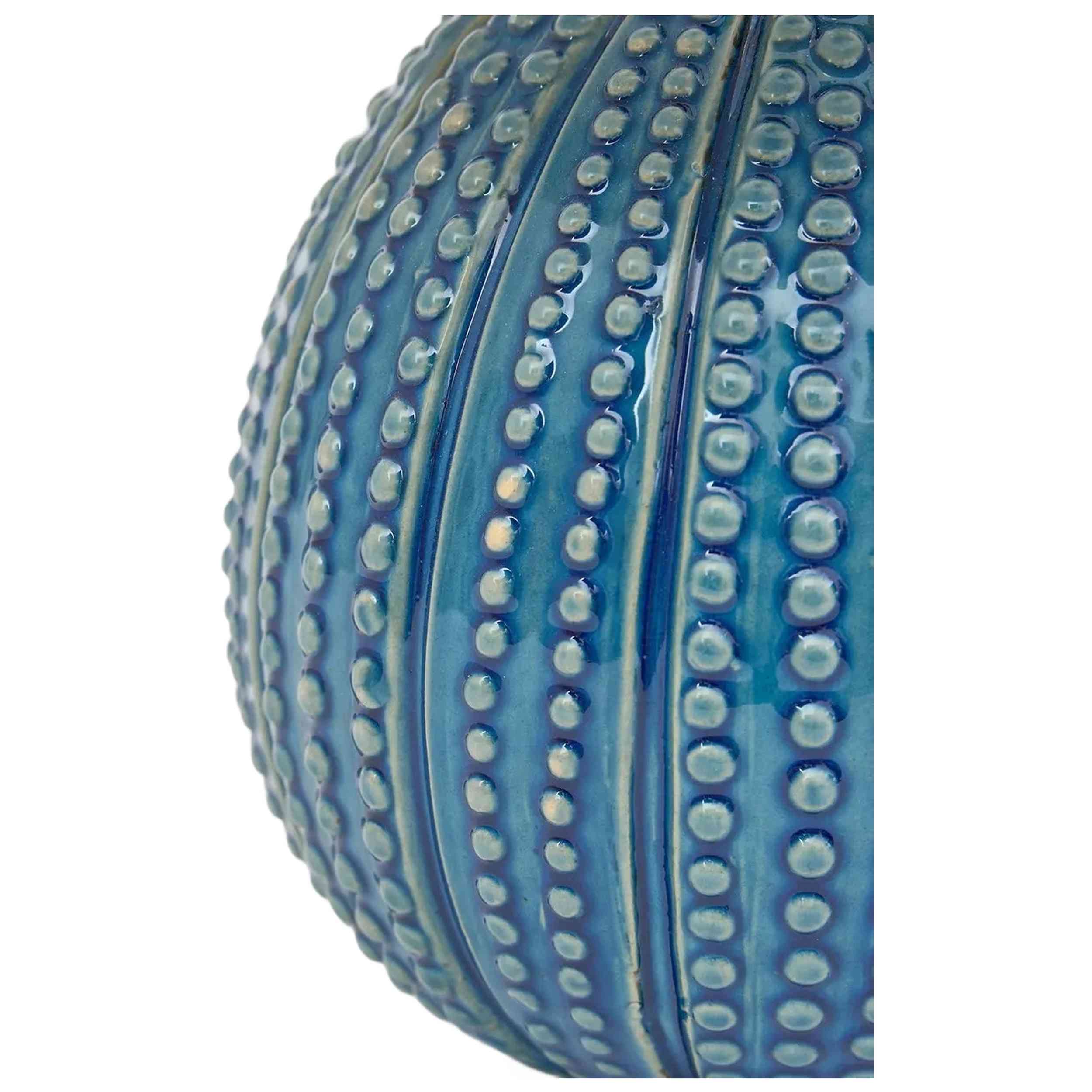 Imagen del producto con referencia D7900