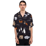 Imagen del producto con referencia ELYWT00118-KVD6