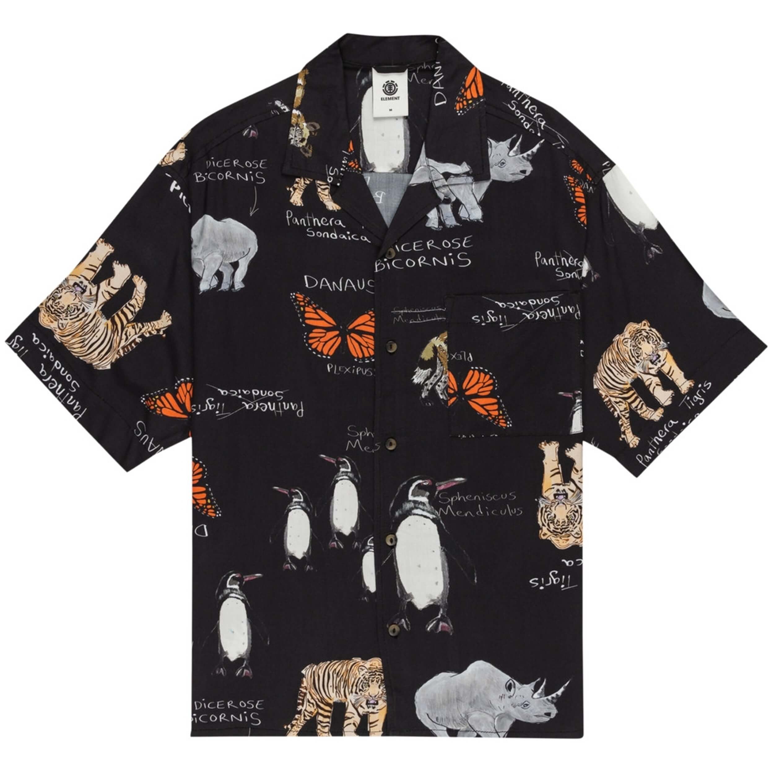 Imagen del producto con referencia ELYWT00118-KVD6