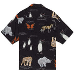 Imagen del producto con referencia ELYWT00118-KVD6