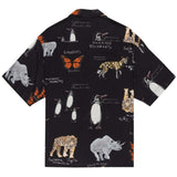 Imagen del producto con referencia ELYWT00118-KVD6