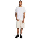 Imagen del producto con referencia ELYZT00487-WBB0