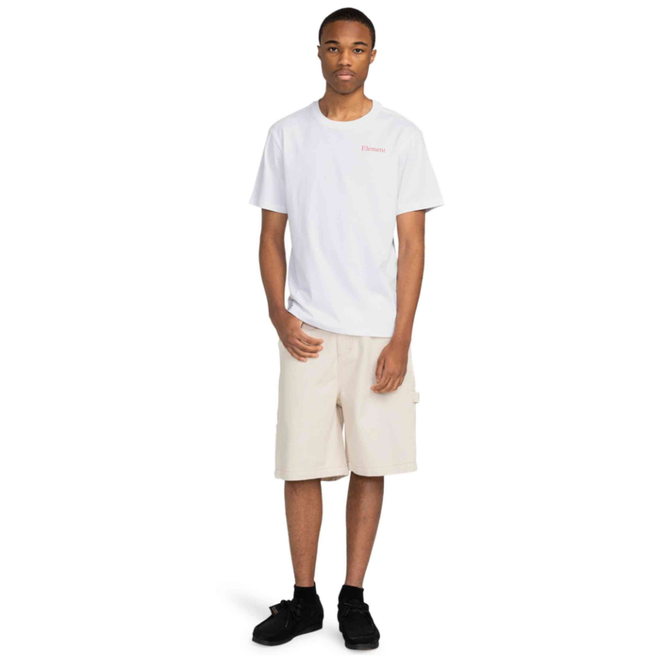 Imagen del producto con referencia ELYZT00487-WBB0