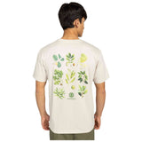 Imagen del producto con referencia ELYZT00585-TEG0