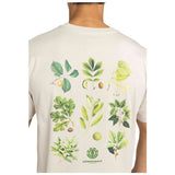 Imagen del producto con referencia ELYZT00585-TEG0