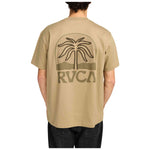 Imagen del producto con referencia EVYZT00275-CYT