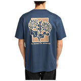 Imagen del producto con referencia EVYZT00290-MDY