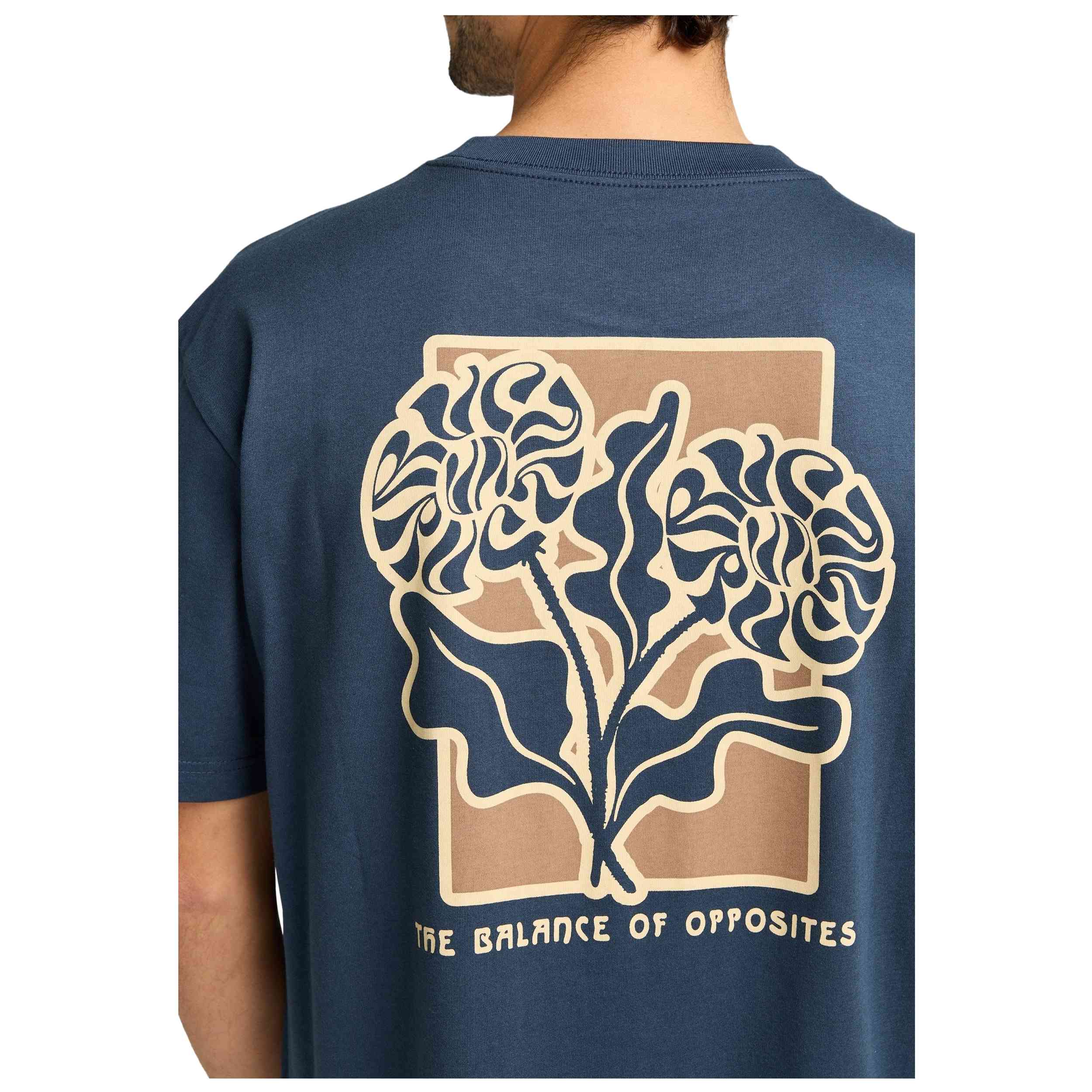 Imagen del producto con referencia EVYZT00290-MDY