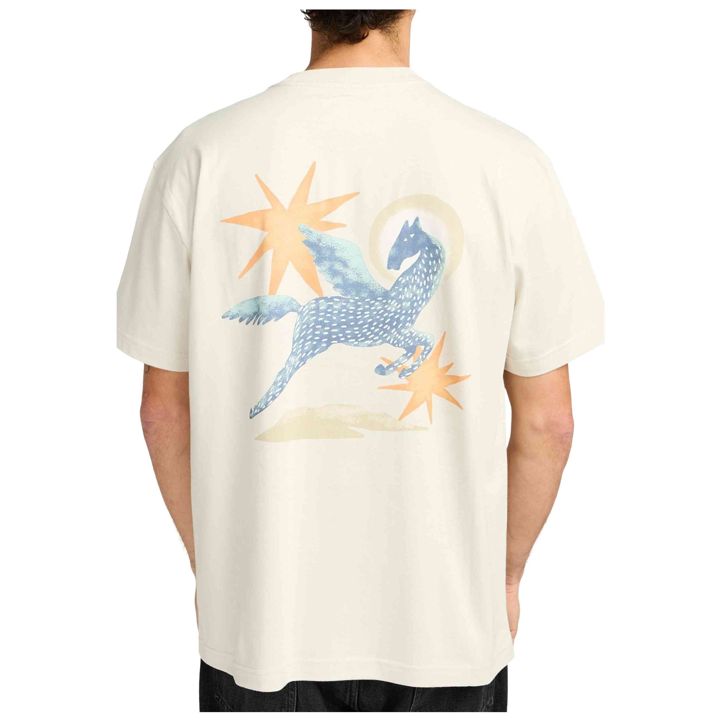 Imagen del producto con referencia EVYZT00294-CER