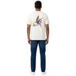 Imagen del producto con referencia EVYZT00329-ANW