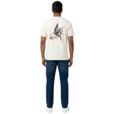 Imagen del producto con referencia EVYZT00329-ANW