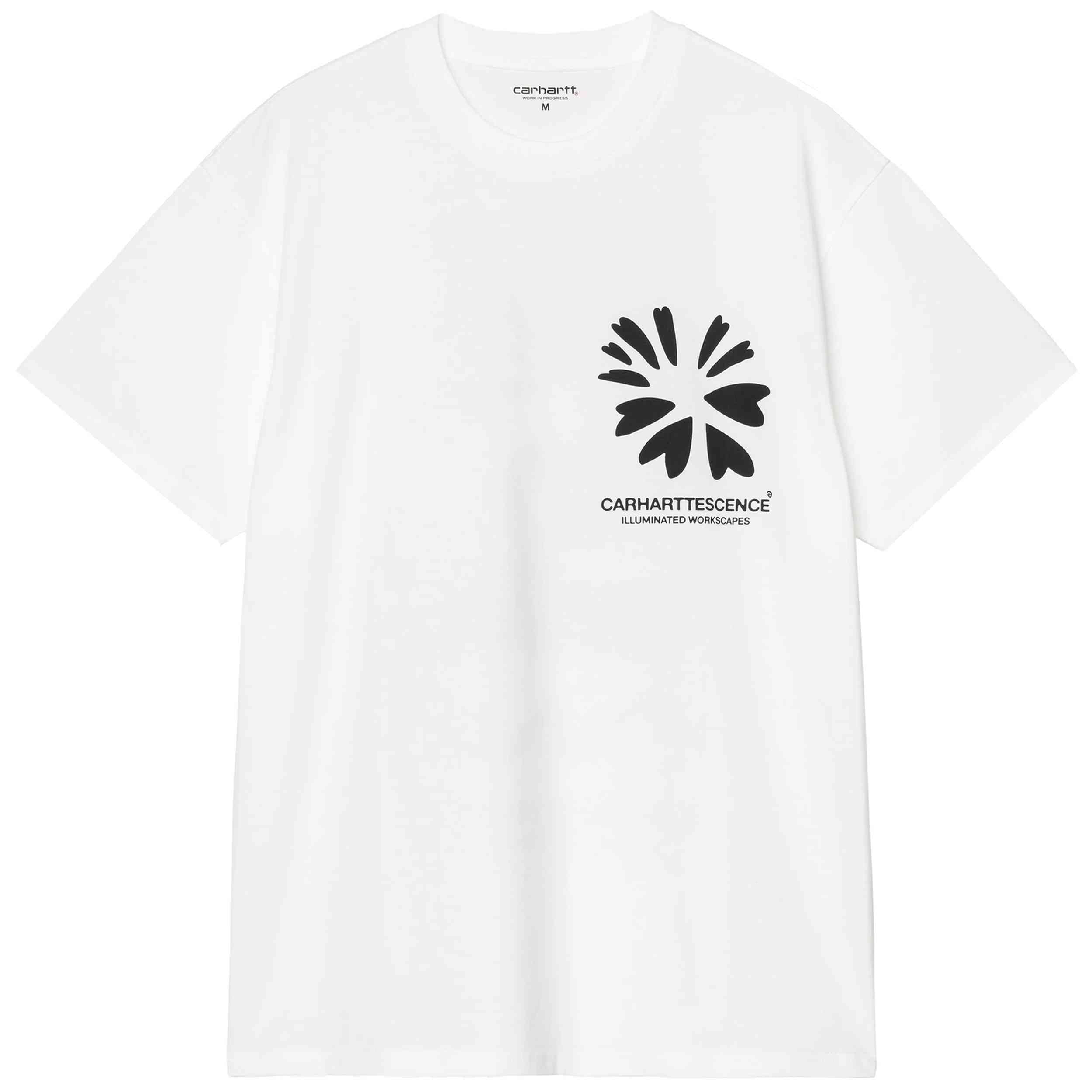 Imagen del producto con referencia I036218-02XX