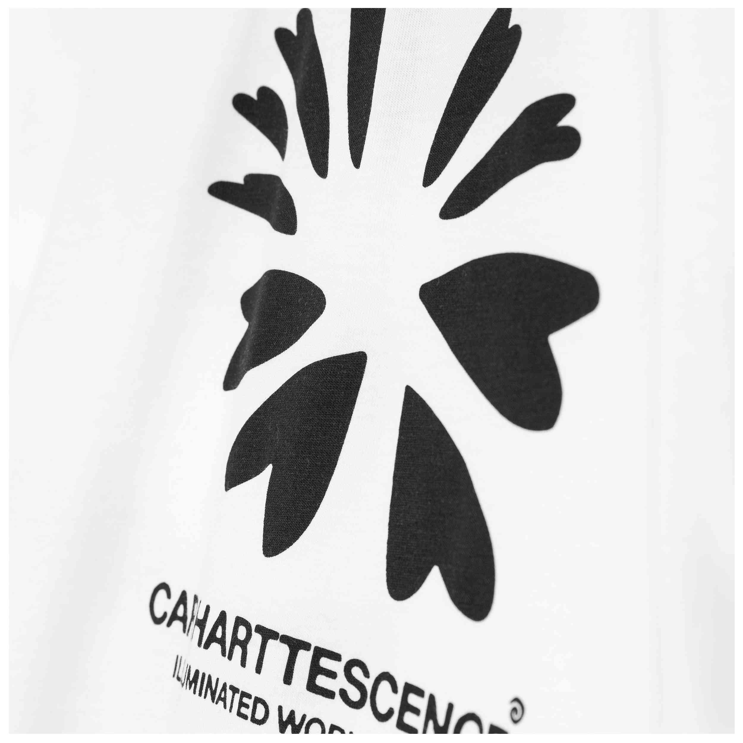 Imagen del producto con referencia I036218-02XX