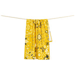 Imagen del producto con referencia STRP042-CURRY